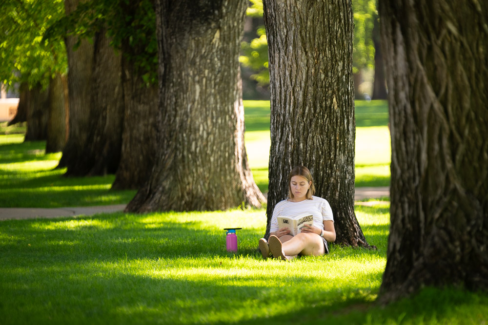 Student sits with their back up against an elm on the oval