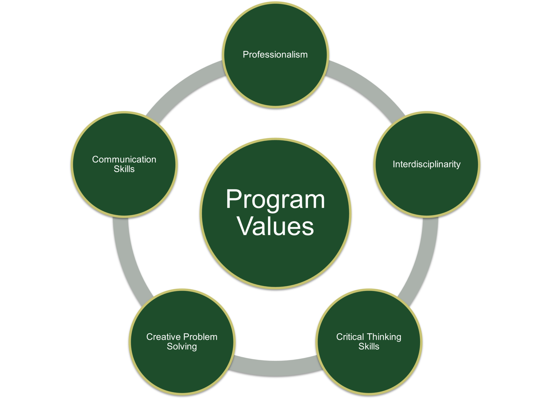 Program Values include professionalism, interdisciplinarity, critical thinking skills, creative problem-solving, and communication skills.